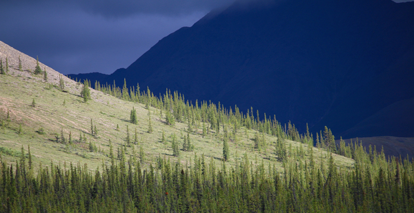 Light after the Rain, Ivvavik National Park 2015