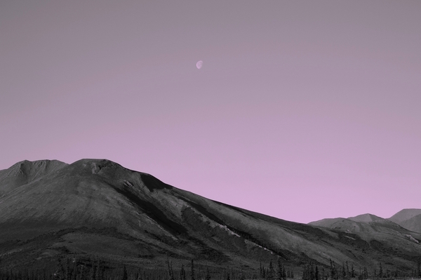 Morning Moon Ivvavik