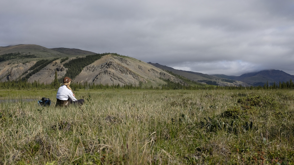 The Meadow (Sheeps Creek) Ivvavik