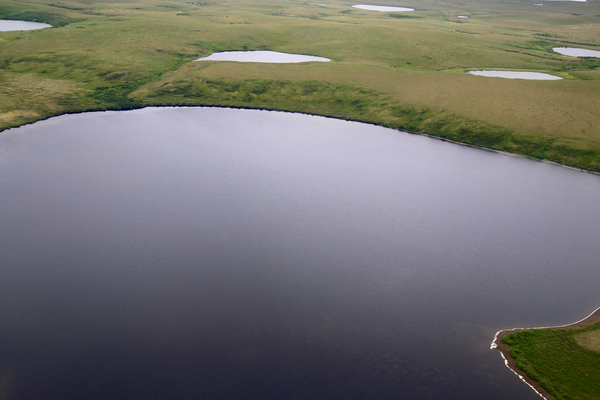 Tundra along the Beaufort Sea