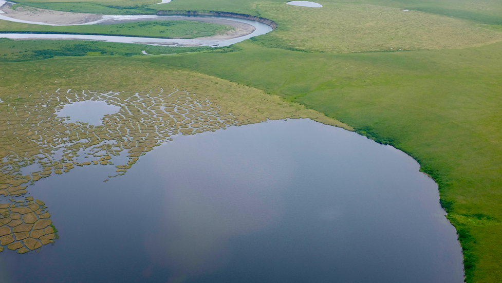 Tundra along the shore of the Beaufort Sea